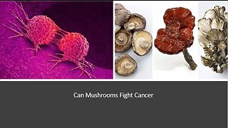 Mushrooms & Cancer