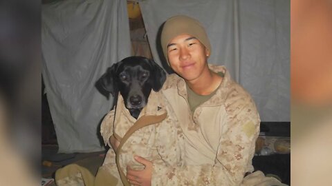 Marine reunites with K-9 that served by his side in Afghanistan after 6 years