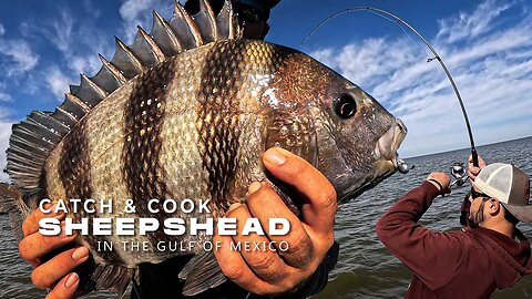 Epic Sheepshead Fishing Winter Cold Front (Catch and Cook) Gulf Coast Fishing Delacroix Louisiana