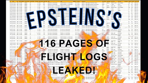 🔥116 pages of Jeffery Epstein's flight logs have been leaked online 👀