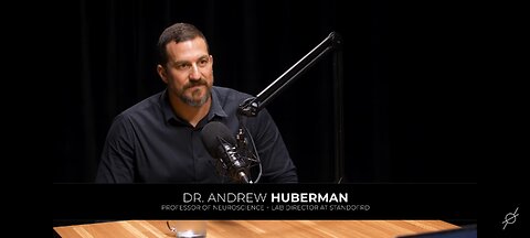 How to Change Your Brain with Neuroplasticity By Dr. Andrew Huberman