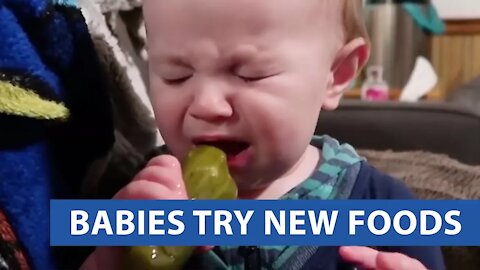 Toddler Try New Foods