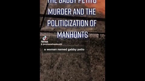 Gang-stalking in Action : The TikTok Edition on YouTube : The Gabby Petito Case and Manhunt Politics