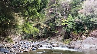 Healing river nature sounds for sleep and calming the mind | relaxation, study, meditation |