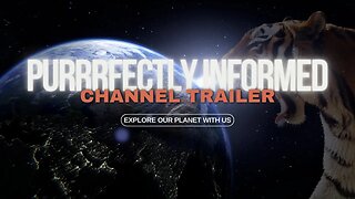 Purrrfectly Informed Channel Trailer: Join us to Explore Earth's Biodiversity