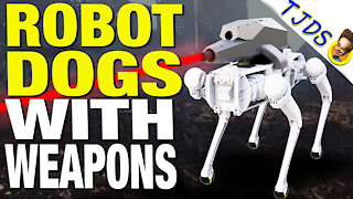 REAL: Robot Dogs With Assault Weapons Are Here!