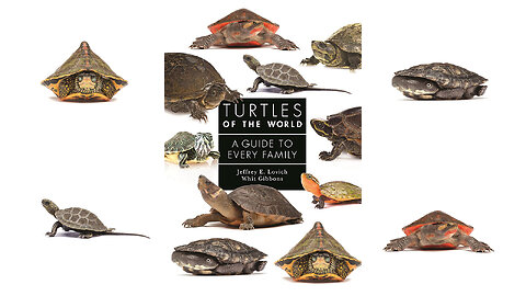 Turtles of the World: A Guide to Every Family