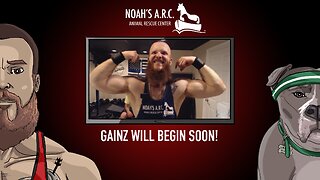 Gym Session w/the Bearded Bros & Hank-a-Tank [Week 13] // Back & Traps // Animal Rescue Stream