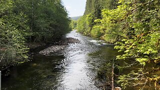 SILENT PERSPECTIVES (4K) of Wind River Near Carson National Fish Hatchery! | Washington