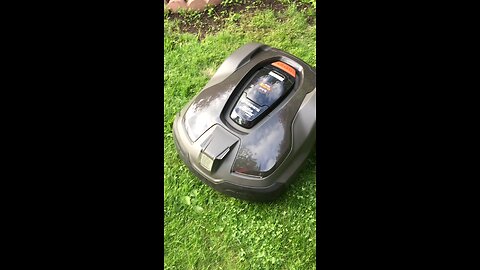 Auto mower for my Grass