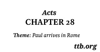 Acts Chapter 28 (Bible Study)