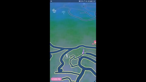 Live Pokémon GO