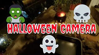 Halloween Live Cam October 9th! 🎃