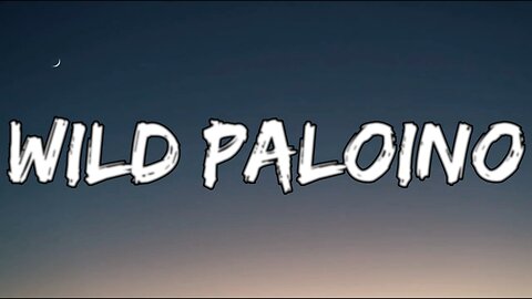 🔴 WILD PALOMINO - Zac Brown Band X Cody Johnson (Lyrics)