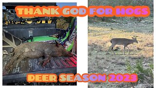 BUCKS & HOG...Thank God for hogs... 2 For 1 Hog??? Nice Buck in Camp #hunting