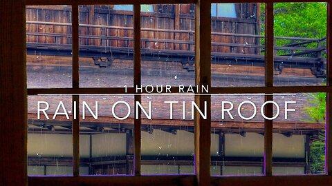 Rain On Tin Roof - Heavy Rain On A Window - Rain Noise For Sleep - 1 Hour Rain For Sleep