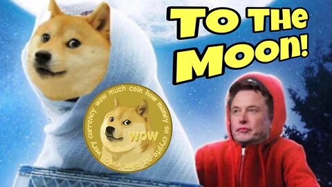 Elon Musk Reveals Dogecoin Dog Update!!!