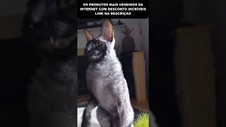 MUITO ESTRANHO ESSE GATO