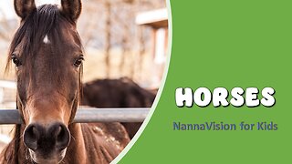Horse Video for Kids and Toddlers