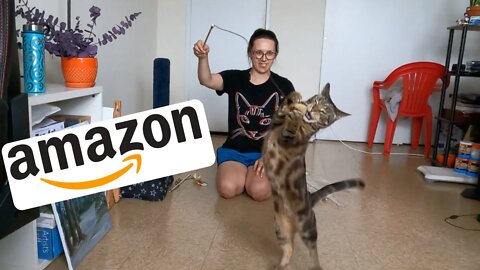 Best cat toys on Amazon that are actually worth your $