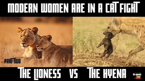 Modern Women: Lionesses VS Hyenas ...lets talk about the problem with "MATRIARCHY" (part two)