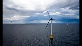 WIND TURBINES OF DEATH Mass stranding of dolphins off Cape Cod