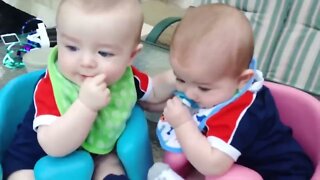 Cute Twins Babies Fighting - Twin Baby Videos - Just Laugh