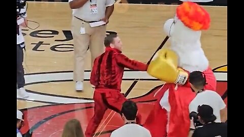 Conor McGregor Knocks Out Miami Heat Mascot, Booed