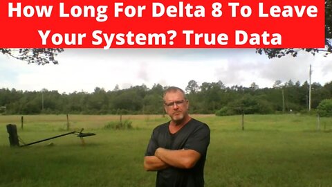 How Long For Delta 8 To Leave Your System? True Data