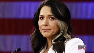 Tulsi Gabbard says Biden, Democrats share same ‘core principles’ as Hitler