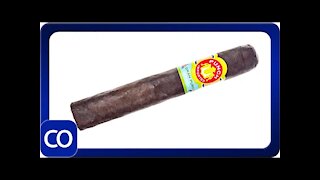 Punch Gran Puro Nicaragua Robusto Cigar Review
