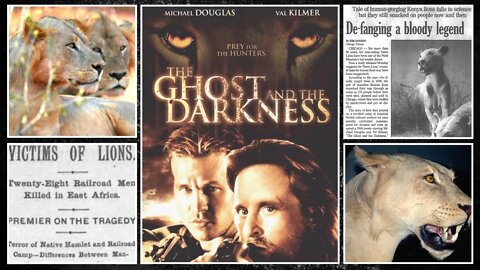 The Real Man-Eating Lions That Inspired ‘The Ghost and The Darkness’