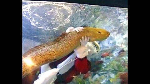 Santa Rides An Eel