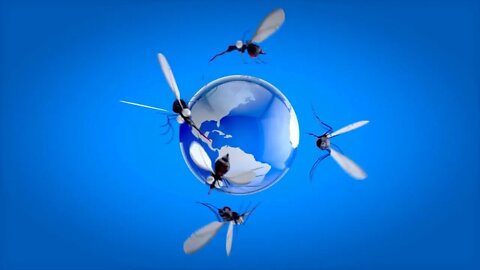 Fun mosquitoes 3D Animation