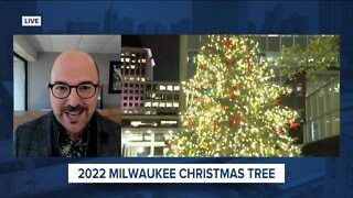 'Cheer District': Milwaukee's Christmas tree to be displayed in the Deer District