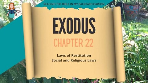 Exodus Chapter 22 | NRSV Bible | Read Aloud