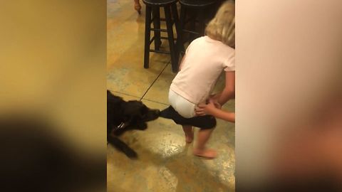 Kid Loses Tug Of War With Dog