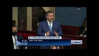 Sen. Cruz On Amendment to Bar Stimulus Checks From Going to Illegal Immigrants