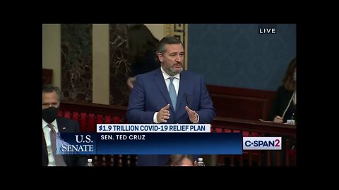Sen. Cruz On Amendment to Bar Stimulus Checks From Going to Illegal Immigrants