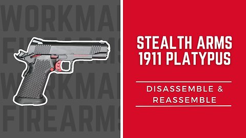 How to Disassemble and Reassemble the Stealth Arms Platypus 2