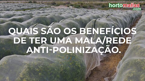 Quais são os benefícios de ter uma mala/rede anti-polinização.