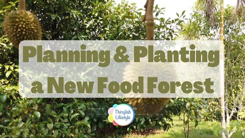 Planning and Planting a New Food Forest #permaculturefarm #foodforest