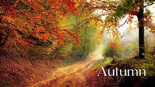 Beautiful Autumn season with soothing music. Calm your mind