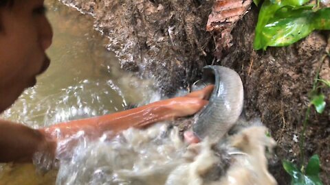 Survival Skills TV2 : Build The Beautiful House In The Jungle and Caught River Fish For Food