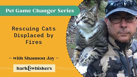 Rescuing Cats Displaced by Fires With Shannon Jay