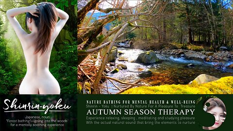 Shinrin-Yoku Bio Music Therapy | Nature Asmr 003 ▶️