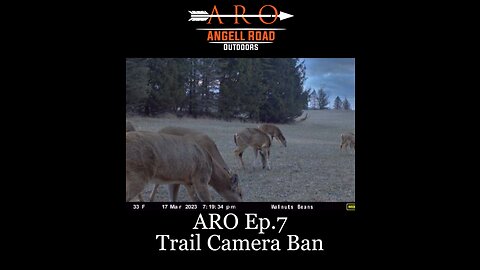 Ep.7 - Trail Camera Ban