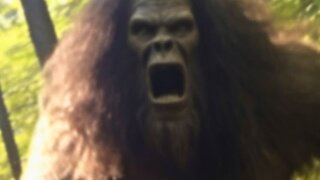 Mysterious Bigfoot Sightings That Left Scientists Baffled