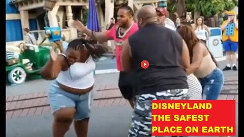 Disneyland Safest & Happiest Place To Be - Until A Peaceful Protest Breaks Out