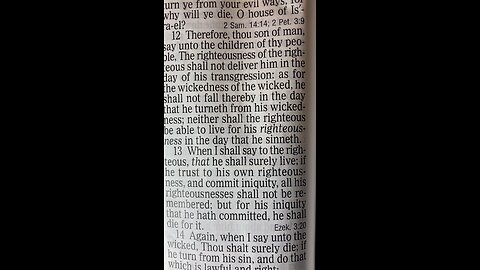 Ezekiel ch33, v12,19 KJV "For the Children of the Beast"